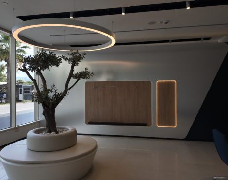 TOGG